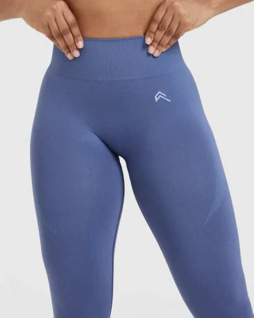 oner active classic seamless 2.0 Slate Blue legging