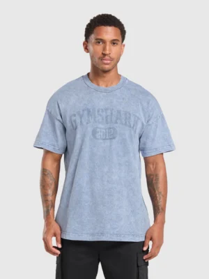Collegiate shadow washed t-shirt