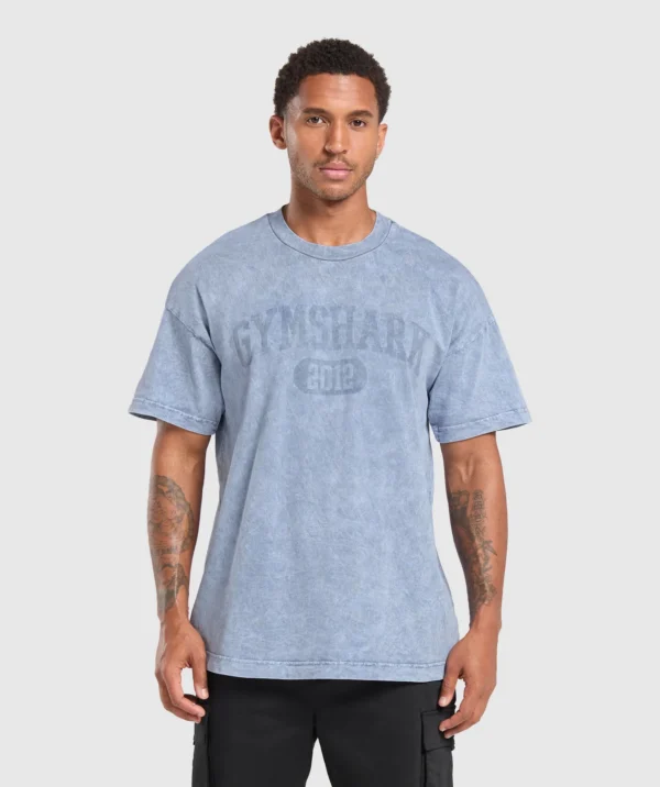Collegiate shadow washed t-shirt