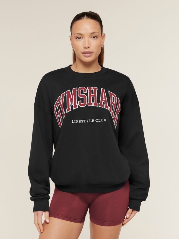 Collegiate graphic crew neck pullover