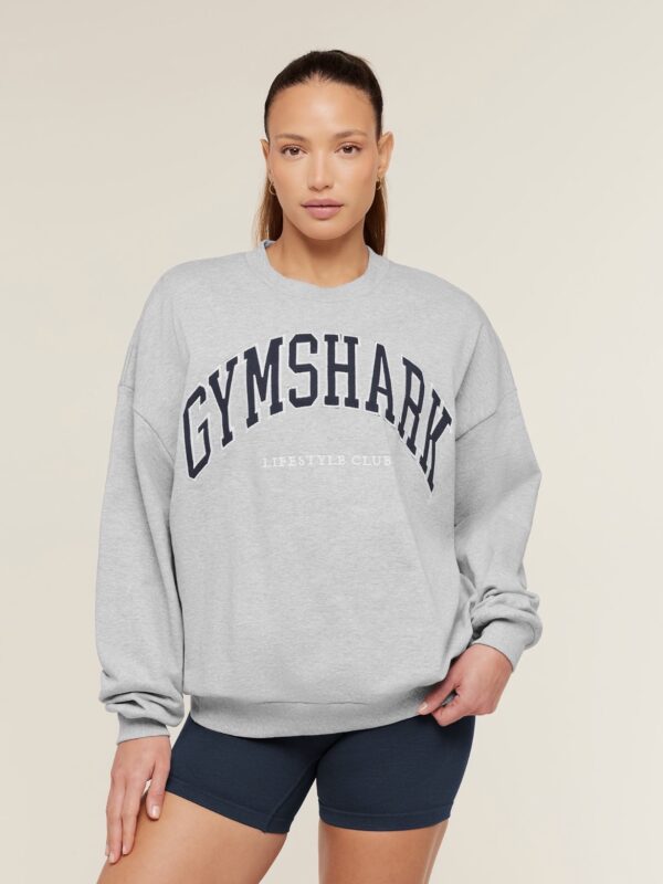 Collegiate graphic crew neck pullover